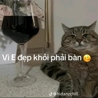 nvp nữ