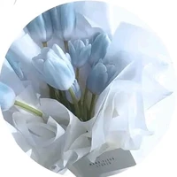 tác giả "con lười"