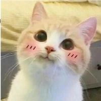 hiểu