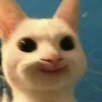 Bà tg siu cuti
