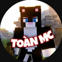 Toàn
