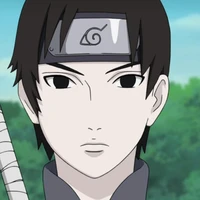 Yamanaka Sai