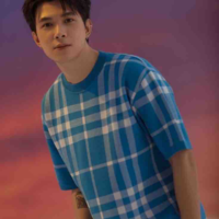 Bùi Anh Tú