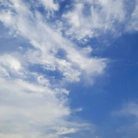 ALL nhân vật