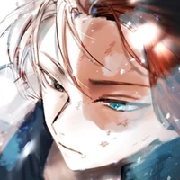Todoroki shoto