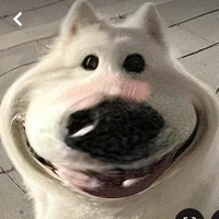 tgia sai đẹp chiêu