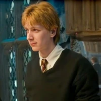 Fred Gideon Weasley_Fred (Gred)