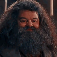 Rubeus Hagrid