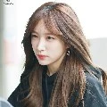 Lee Hani