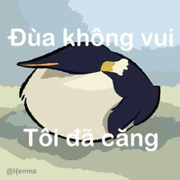 NVP