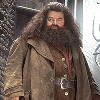 Rubeus Hagrid