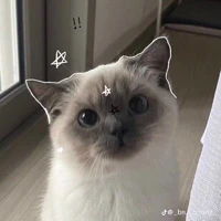 bạn tác giả cute nhất trần đới❤