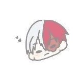todoroki shoto