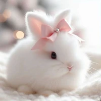 BUNNY