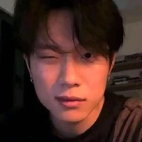 Dương Domic