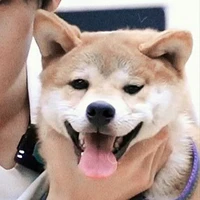 Hô An