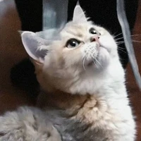 Phú Quý