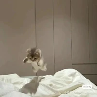 cân mọi loại vai diễn