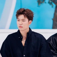Dương Domic