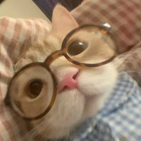 Bà tác giả ác độc:)))