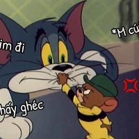 mĩ nữ xênh đẹp