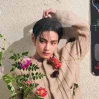 Kim Taehyung [ V ]