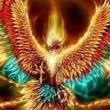 phượng hoàng ( tiểu phượng)