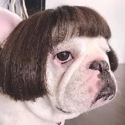 Pút Lấp Lánh__Au Ngáo Ngơ