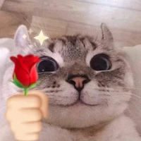 Me>:3