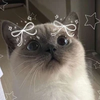 Hệ thống _Hana_287634