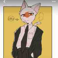 Nekomi