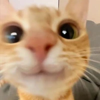 búp bê tác giả cute chem chép