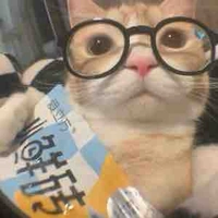 Tôi