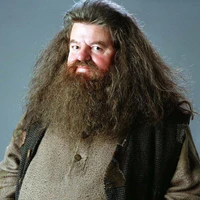 Rubeus Hagrid