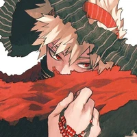 katsuki bakugo