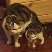 Tắt cả