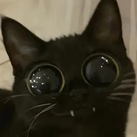 ??¿