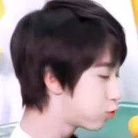 Hạ Tuấn Lâm ( hồi nhỏ )