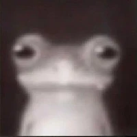 t/g