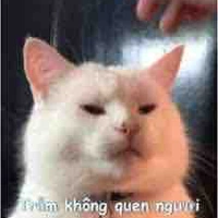 『Isun ( avatar khác của occ:)』