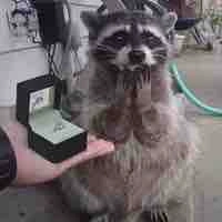 Nhân viên phòng y tế 