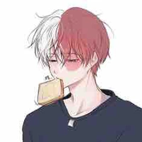 Todoroki shouto