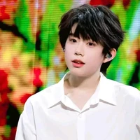 Trần Dịch Hằng (chưa xuyên) 