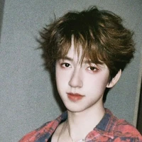 Hạ Tuấn Lâm