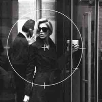 Gemini Brandy Tosk /W/