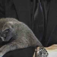 Sagittarius Brian Lincoln /W/