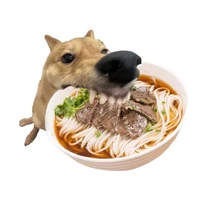 Kon tác giả xaml