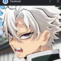 shinazugawa sanemi