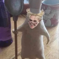 Nhỏ tác giả 😼