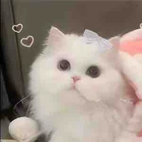 Nhỏ này là tác giả nhw bị XÀM